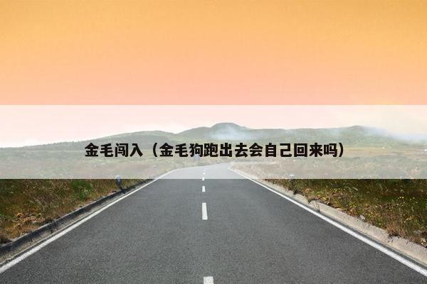 金毛闯入（金毛狗跑出去会自己回来吗）