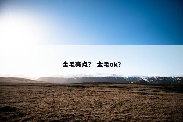 金毛亮点？ 金毛ok？
