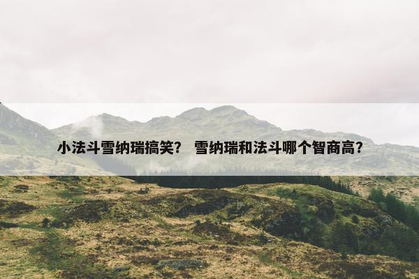 小法斗雪纳瑞搞笑？ 雪纳瑞和法斗哪个智商高？