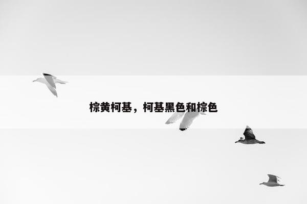 棕黄柯基，柯基黑色和棕色