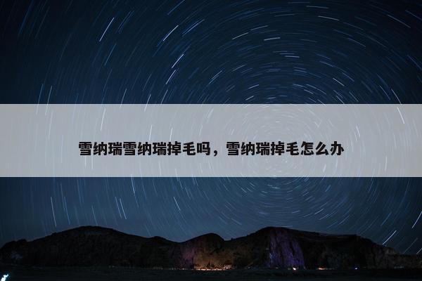 雪纳瑞雪纳瑞掉毛吗，雪纳瑞掉毛怎么办