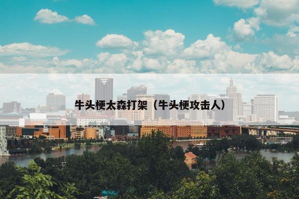 牛头梗太森打架（牛头梗攻击人）