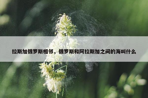 拉斯加俄罗斯相邻，俄罗斯和阿拉斯加之间的海叫什么