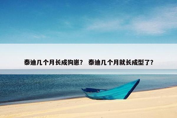 泰迪几个月长成狗崽？ 泰迪几个月就长成型了？