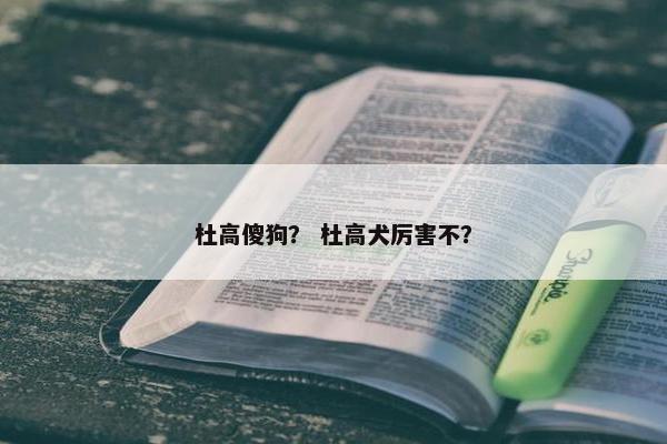 杜高傻狗？ 杜高犬厉害不？