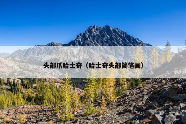 头部爪哈士奇（哈士奇头部简笔画）