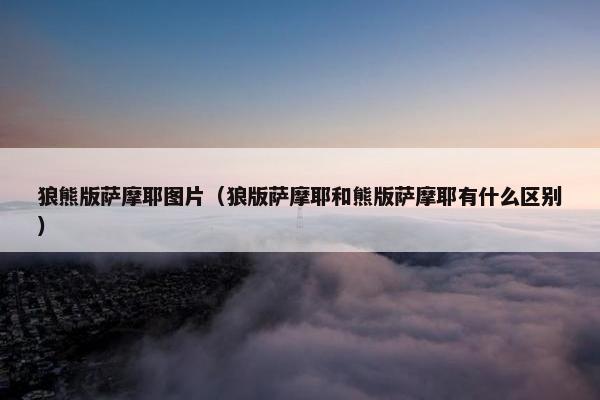 狼熊版萨摩耶图片（狼版萨摩耶和熊版萨摩耶有什么区别）