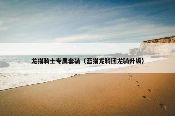 龙猫骑士专属套装（蓝猫龙骑团龙骑升级）