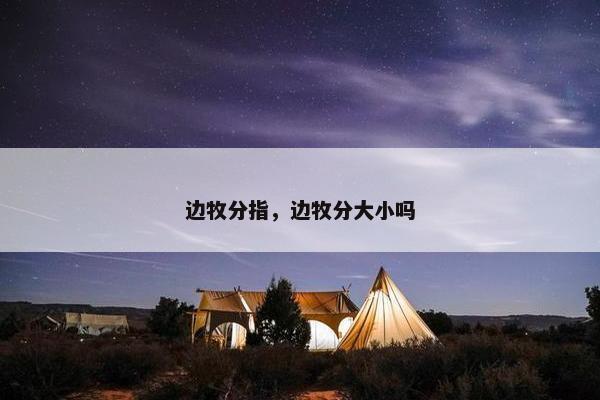 边牧分指，边牧分大小吗