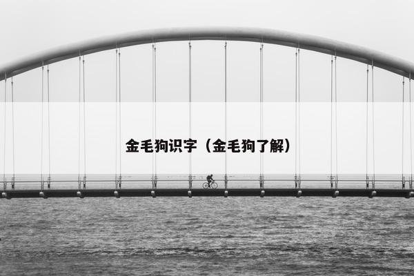 金毛狗识字（金毛狗了解）