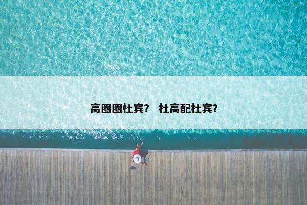 高圈圈杜宾？ 杜高配杜宾？