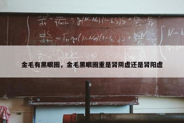 金毛有黑眼圈，金毛黑眼圈重是肾阴虚还是肾阳虚