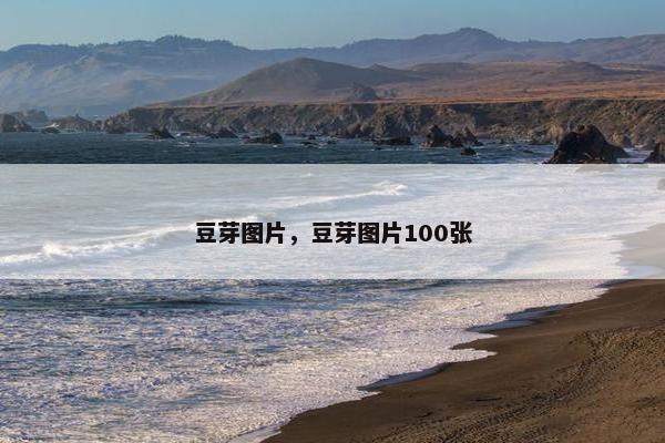 豆芽图片，豆芽图片100张