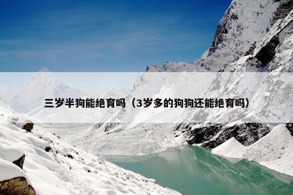 三岁半狗能绝育吗（3岁多的狗狗还能绝育吗）