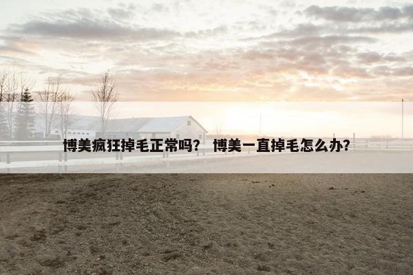 博美疯狂掉毛正常吗？ 博美一直掉毛怎么办？