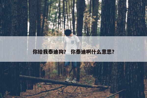 你给我泰迪狗？ 你泰迪啊什么意思？
