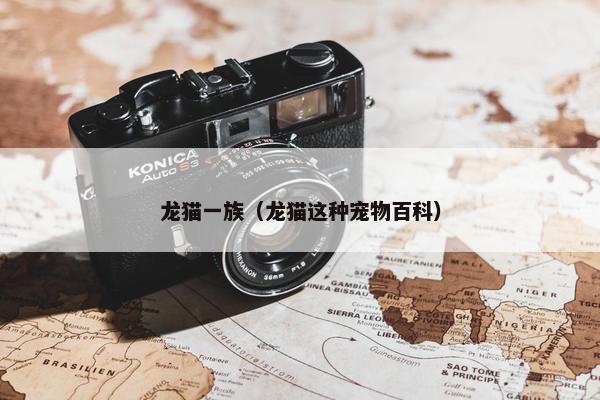 龙猫一族（龙猫这种宠物百科）