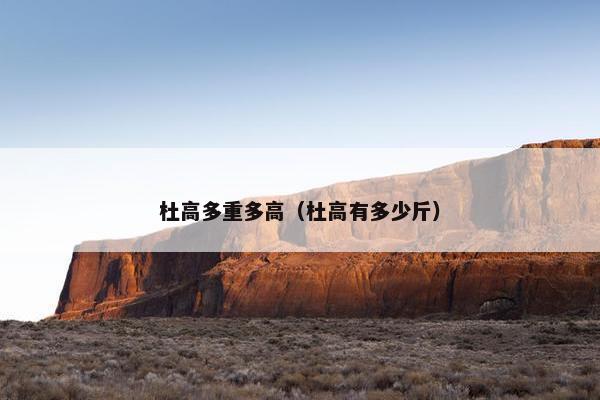 杜高多重多高（杜高有多少斤）