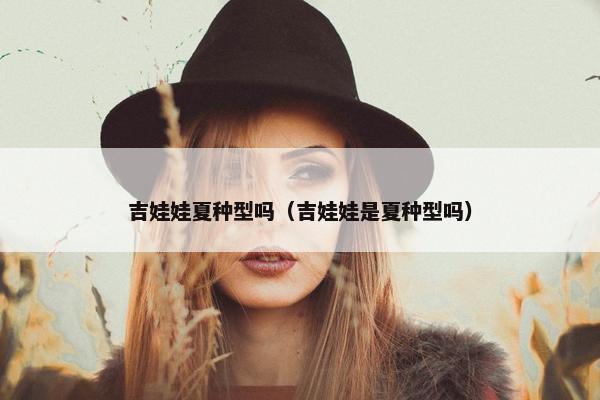 吉娃娃夏种型吗（吉娃娃是夏种型吗）