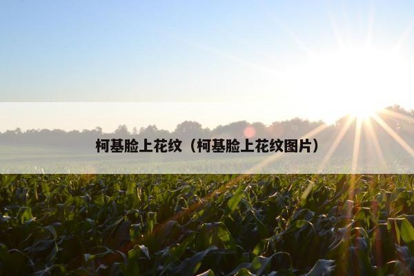 柯基脸上花纹（柯基脸上花纹图片）