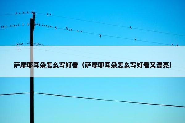 萨摩耶耳朵怎么写好看（萨摩耶耳朵怎么写好看又漂亮）