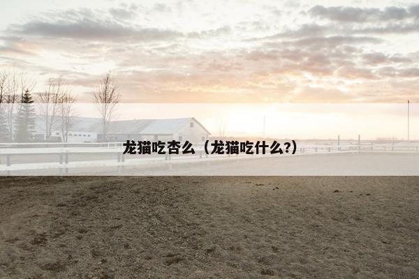 龙猫吃杏么（龙猫吃什么?）