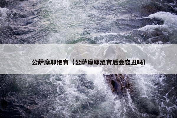 公萨摩耶绝育（公萨摩耶绝育后会变丑吗）