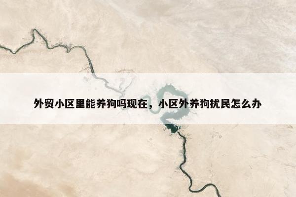 外贸小区里能养狗吗现在，小区外养狗扰民怎么办