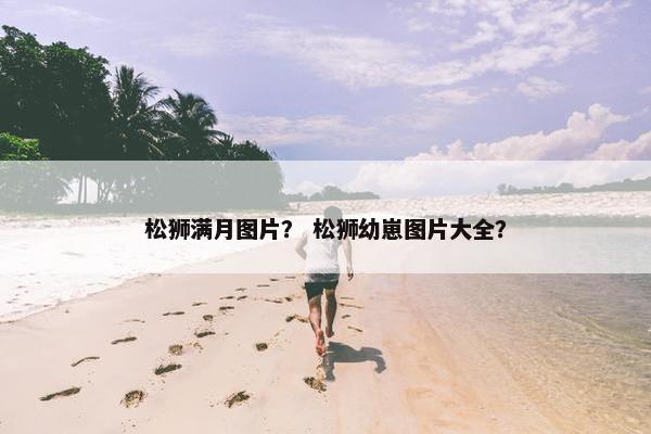 松狮满月图片？ 松狮幼崽图片大全？