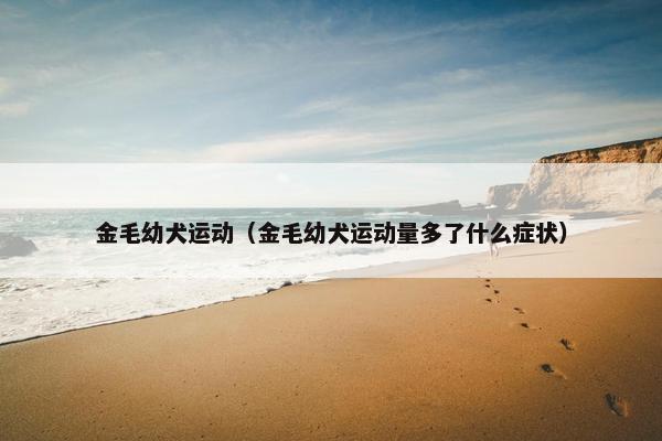 金毛幼犬运动（金毛幼犬运动量多了什么症状）