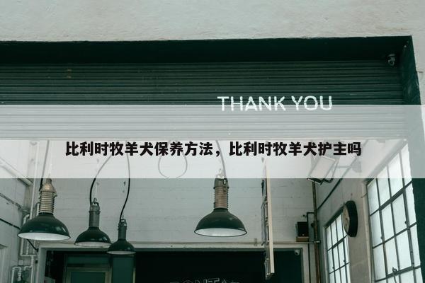 比利时牧羊犬保养方法，比利时牧羊犬护主吗