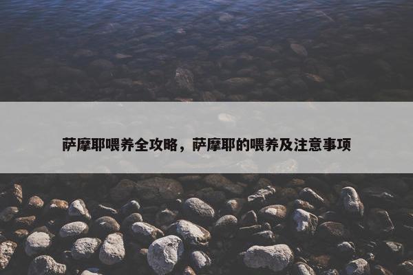 萨摩耶喂养全攻略，萨摩耶的喂养及注意事项