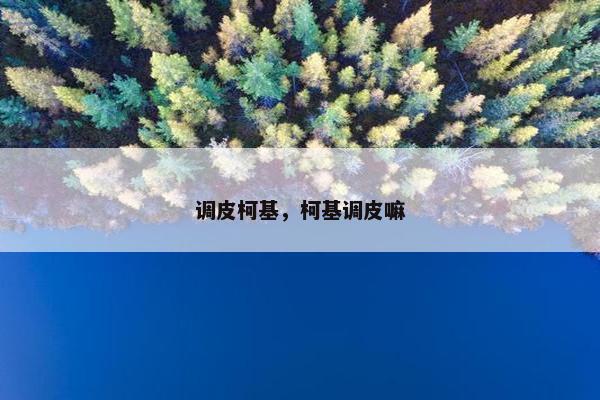 调皮柯基，柯基调皮嘛