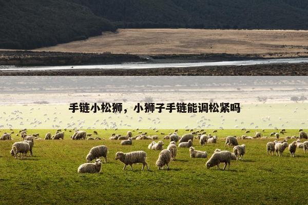 手链小松狮，小狮子手链能调松紧吗