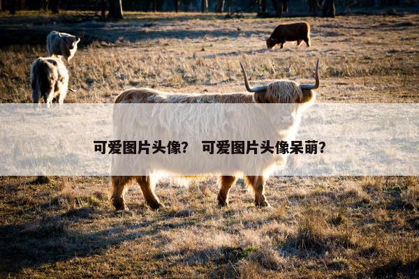 可爱图片头像？ 可爱图片头像呆萌？