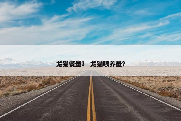 龙猫餐量？ 龙猫喂养量？