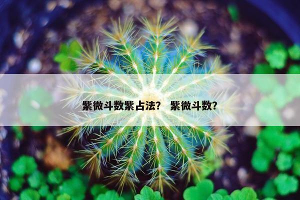 紫微斗数紫占法？ 紫微斗数？