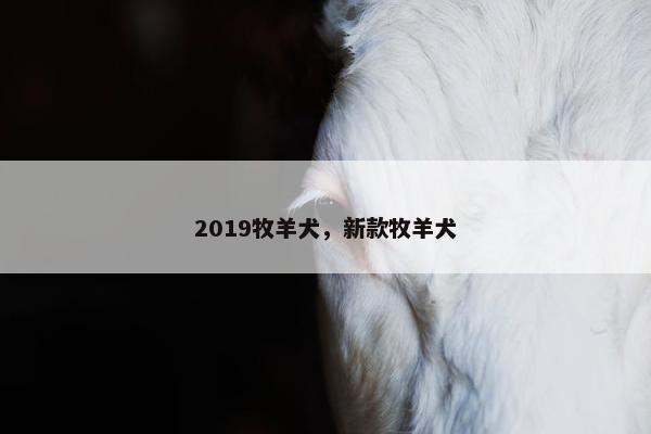 2019牧羊犬，新款牧羊犬
