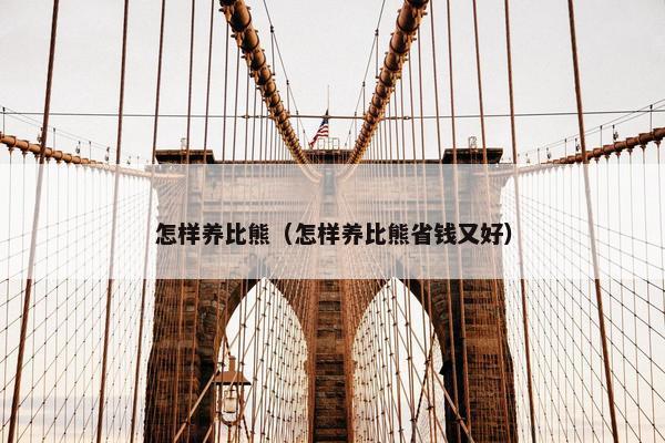 怎样养比熊（怎样养比熊省钱又好）