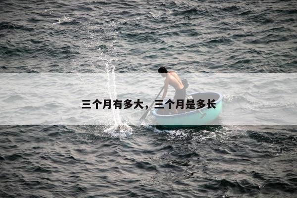 三个月有多大，三个月是多长