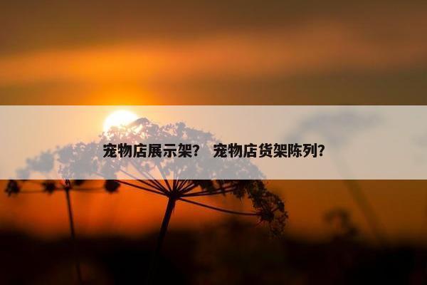 宠物店展示架？ 宠物店货架陈列？
