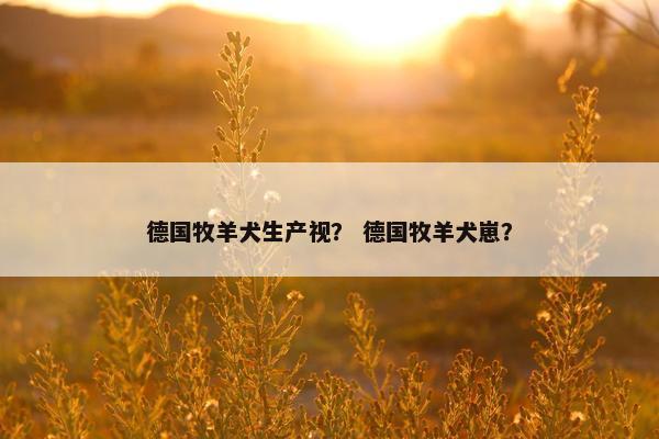 德国牧羊犬生产视？ 德国牧羊犬崽？