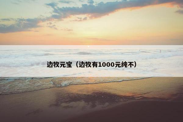 边牧元宝（边牧有1000元纯不）