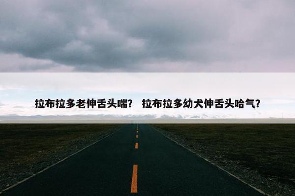 拉布拉多老伸舌头喘？ 拉布拉多幼犬伸舌头哈气？