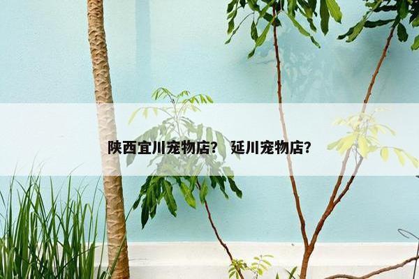 陕西宜川宠物店？ 延川宠物店？