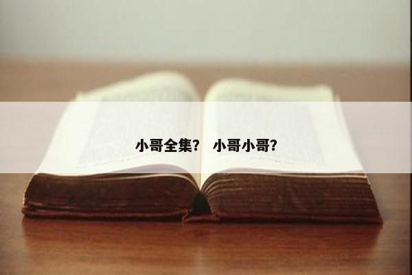 小哥全集？ 小哥小哥？