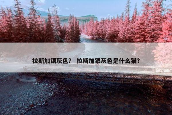 拉斯加银灰色？ 拉斯加银灰色是什么猫？