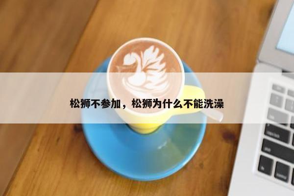 松狮不参加，松狮为什么不能洗澡