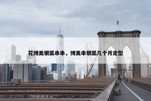 花博美银狐串串，博美串银狐几个月定型