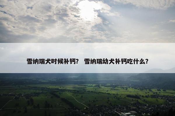 雪纳瑞犬时候补钙？ 雪纳瑞幼犬补钙吃什么？